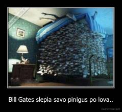 Bill Gates slepia savo pinigus po lova.. - 