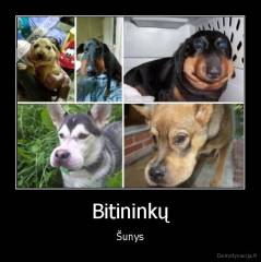 Bitininkų - Šunys