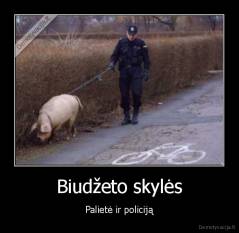 Biudžeto skylės - Palietė ir policiją