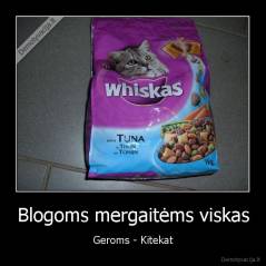 Blogoms mergaitėms viskas - Geroms - Kitekat