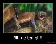 Blt, ne ten gi!!! - 