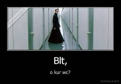 Blt, - o kur wc?