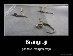 Brangioji - pas tave draugės atėjo