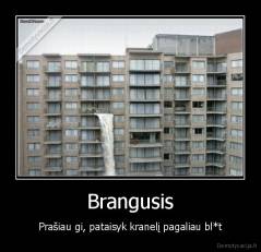 Brangusis - Prašiau gi, pataisyk kranelį pagaliau bl*t