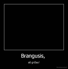 Brangusis,  - aš grižau!