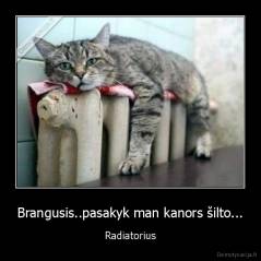 Brangusis..pasakyk man kanors šilto... - Radiatorius