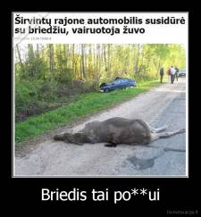 Briedis tai po**ui - 