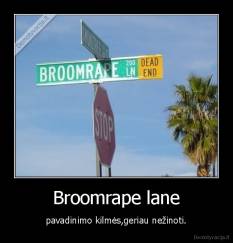 Broomrape lane - pavadinimo kilmės,geriau nežinoti.