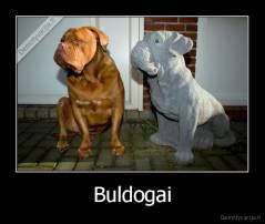 Buldogai - 