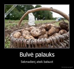 Bulvė palauks - Sekmadienį ateik balsuot