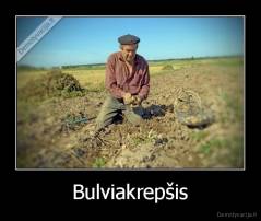 Bulviakrepšis - 