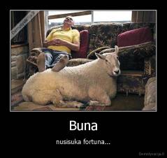 Buna - nusisuka fortuna...