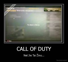 CALL OF DUTY - Net Jie Tai Žino...