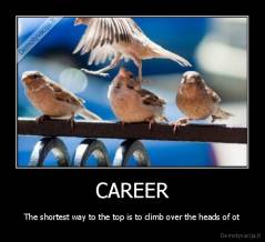 CAREER - The shortest way to the top is to climb over the heads of ot