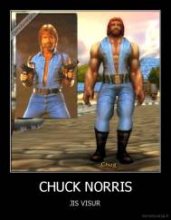 CHUCK NORRIS - JIS VISUR