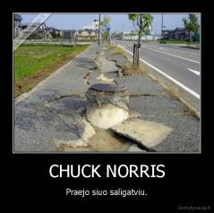 CHUCK NORRIS - Praejo siuo saligatviu.