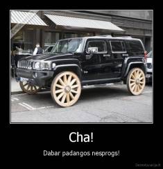 Cha! - Dabar padangos nesprogs!