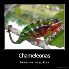 Chameleonas - Baisiausias draugo tipas