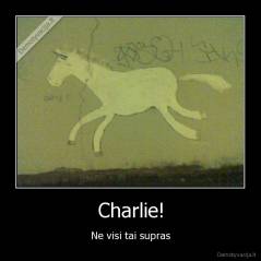 Charlie! - Ne visi tai supras