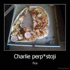 Charlie perp*stoji - Pica