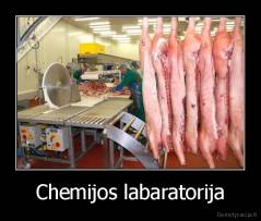 Chemijos labaratorija - 