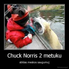 Chuck Norris 2 metuku - stiklas meskos saugumuj