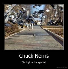 Chuck Norris - Jis irgi turi augintinį