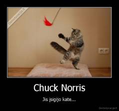 Chuck Norris - Jis įsigijo kate...