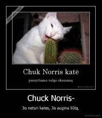 Chuck Norris- - Jis neturi katės, Jis augina liūtą.