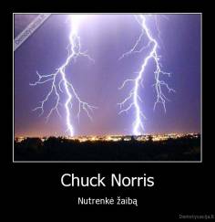 Chuck Norris - Nutrenkė žaibą