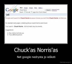 Chuck'as Norris'as - Net google nedrysta jo ieškoti