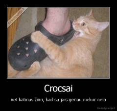 Crocsai - net katinas žino, kad su jais geriau niekur neiti