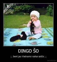 DINGO ŠO - ... bent jau Vietnamo vaikai sotūs ...