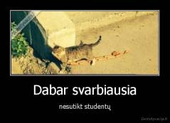 Dabar svarbiausia - nesutikt studentų