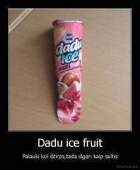 Dadu ice fruit - Palauki kol ištirps,tada išgeri kaip sultis
