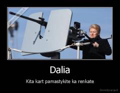 Dalia - Kita kart pamastykite ka renkate