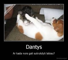 Dantys - Ar kada nors gali sutrukdyti labiau?