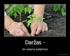 Daržas - - tai vasaros kalėjimas