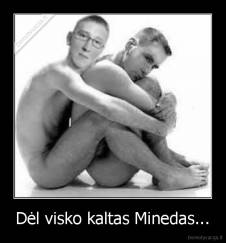 Dėl visko kaltas Minedas... - 