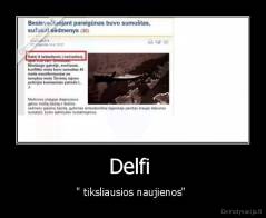 Delfi  - " tiksliausios naujienos" 