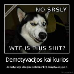 Demotyvacijos kai kurios - demotyvuoja daugiau nebesilankyt demotyvacijoje.lt