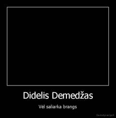 Didelis Demedžas - Vėl saliarka brangs