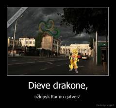 Dieve drakone, - užlopyk Kauno gatves! 