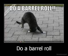 Do a barrel roll - 