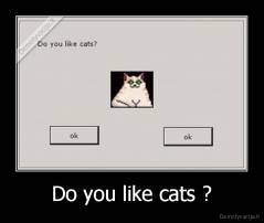 Do you like cats ? - 