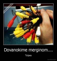 Dovanokime merginom.... - Tulpes