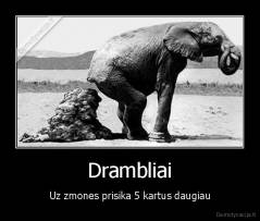 Drambliai - Uz zmones prisika 5 kartus daugiau