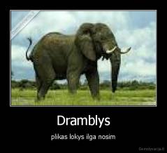 Dramblys - plikas lokys ilga nosim