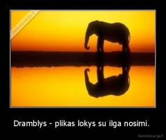 Dramblys - plikas lokys su ilga nosimi.  - 