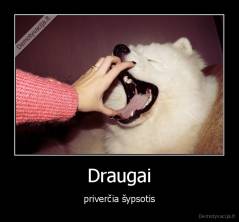 Draugai - priverčia šypsotis